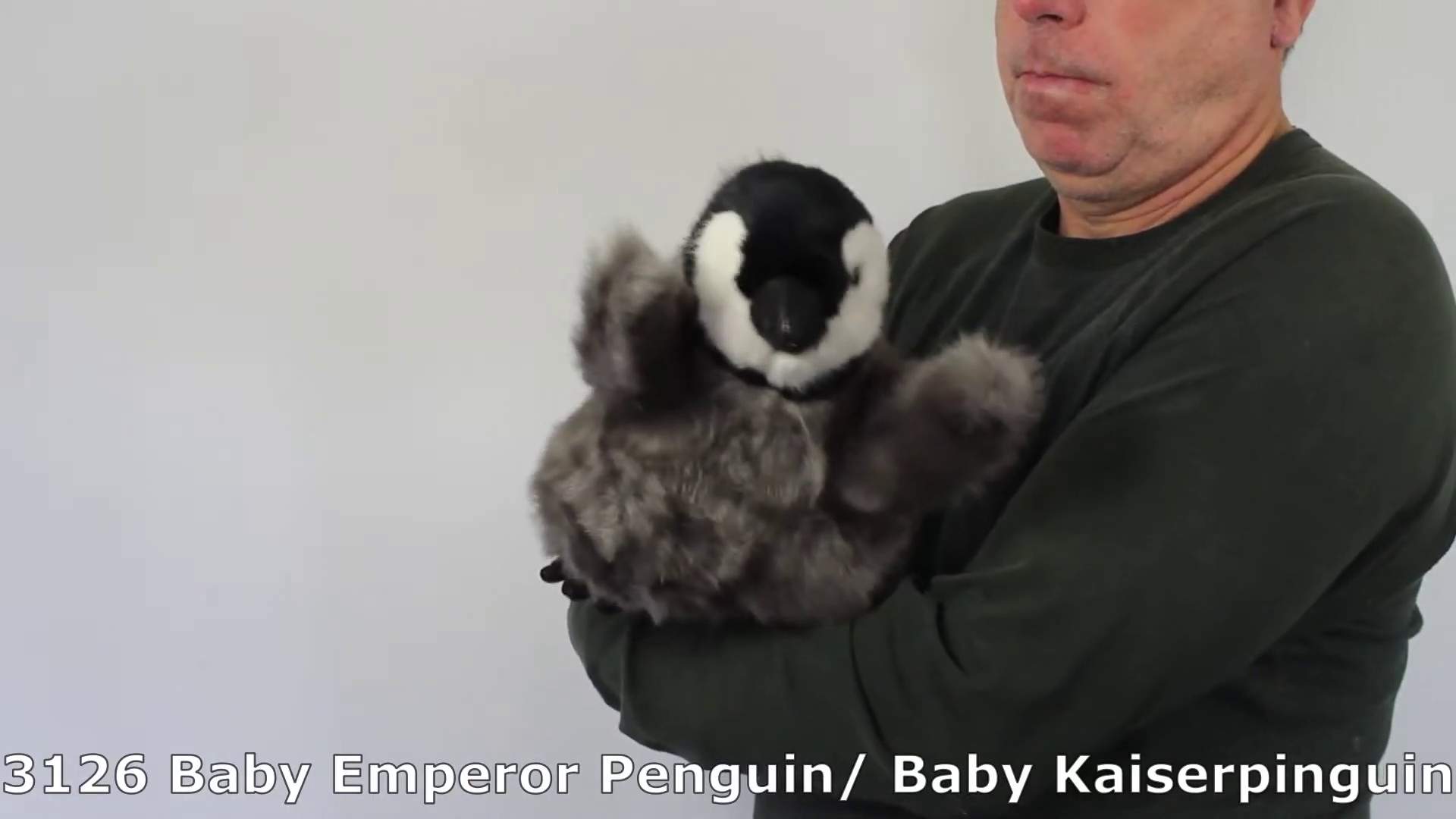 Video 1: Folkmanis Handpuppe Baby Kaiserpinguin