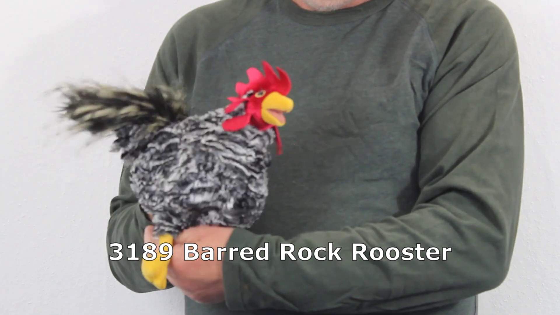 Video 1: Folkmanis Handpuppe Hahn