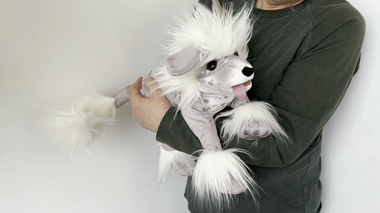 Folkmanis Handpuppe Chinesischer Schopfhund Demo