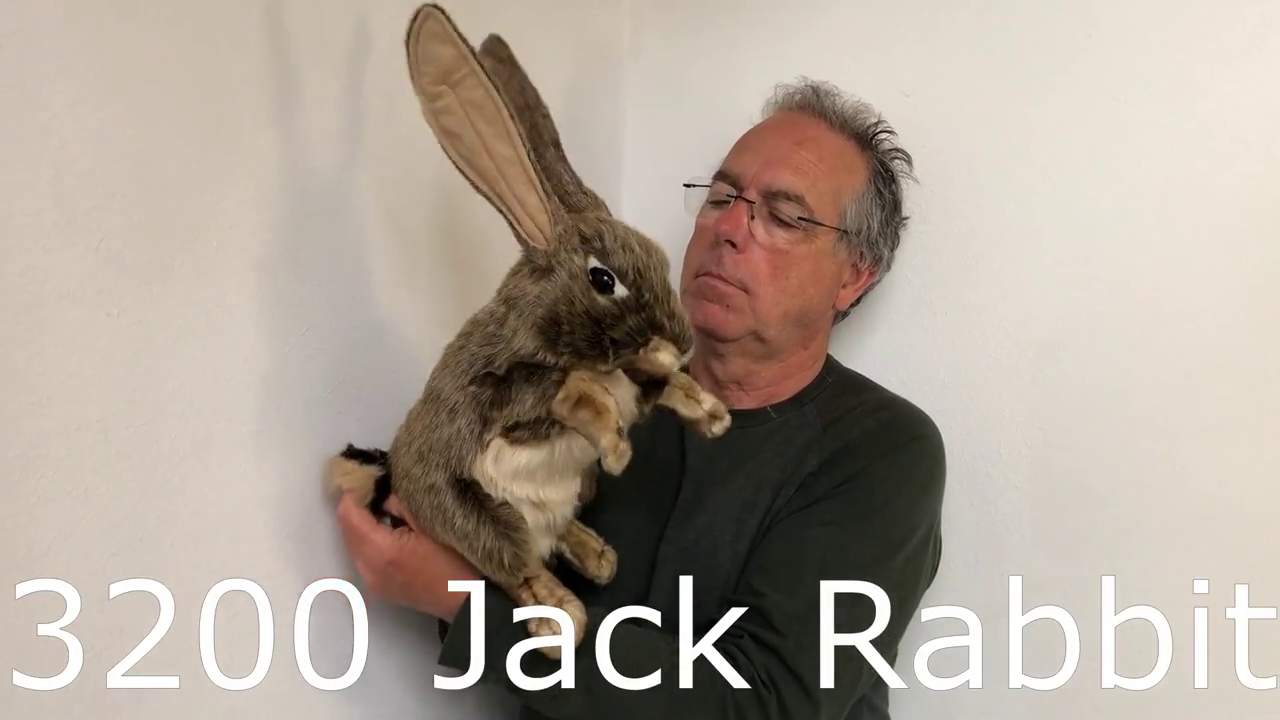Video 2: Folkmanis Jack Rabbit Hand Puppet