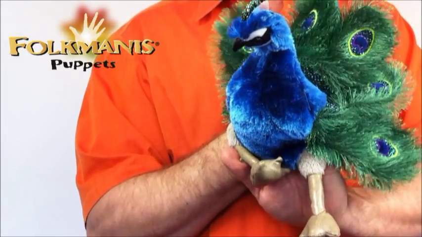 Video 2: Folkmanis Handpuppe kleiner Pfau