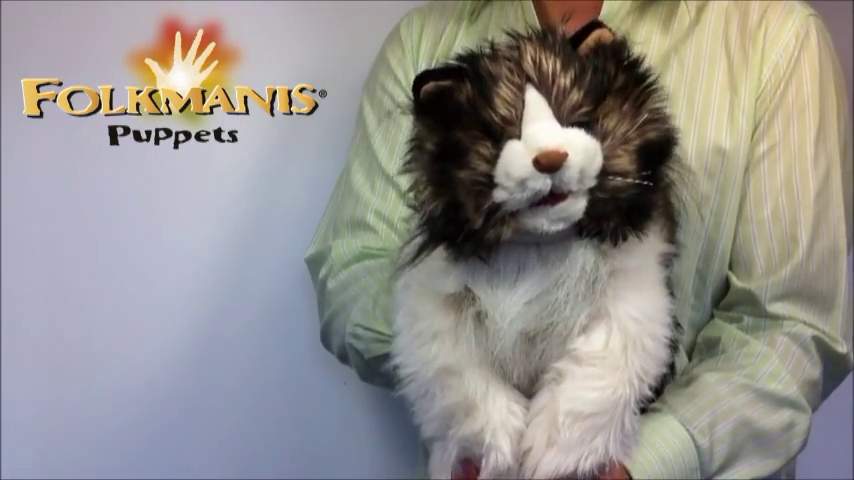 Video 2: Folkmanis Ragdoll Cat Hand Puppet