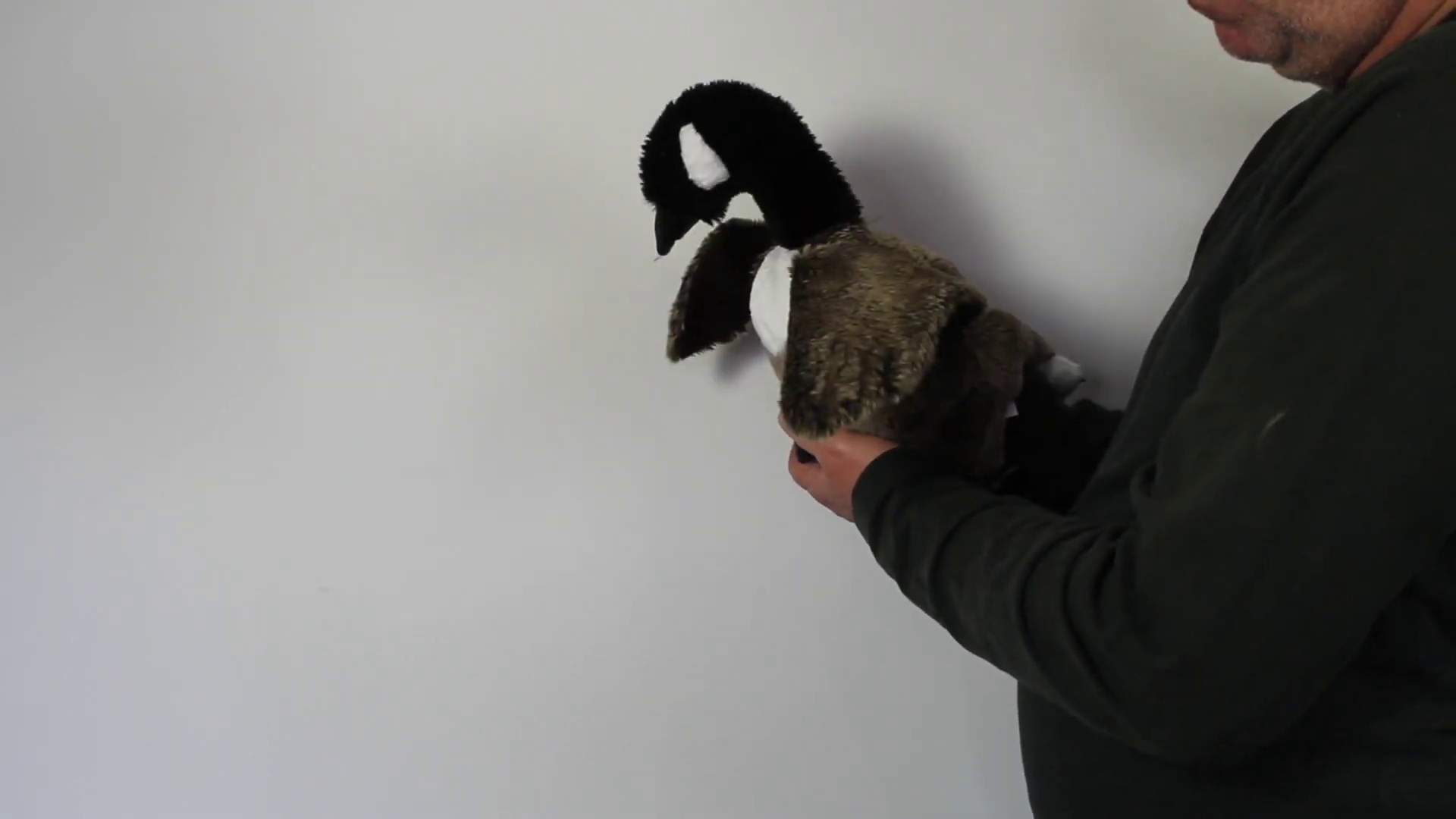 Folkmanis Handpuppe Kanada-Gans Demo