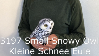 Folkmanis Handpuppe kleine Schneeeule Demo 2