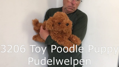 Folkmanis Toy Poodle Hand Puppet Demo 2