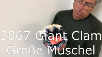 Folkmanis Handpuppe große Muschel Demo 2