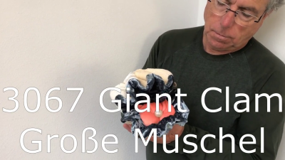Folkmanis Giant Clam Hand Puppet Demo 2