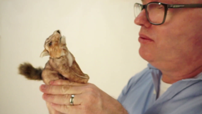 Video 1: Folkmanis Fingerpuppe mini Kojote