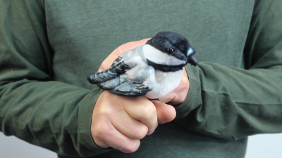 Video 1: Folkmanis Mini Chickadee Finger Puppet