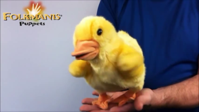 Video 2: Folkmanis Handpuppe Entchen