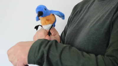 Video 2: Folkmanis Fingerpuppe mini Hüttensänger-Vogel (blau)