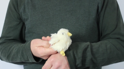 Video 2: Folkmanis Fingerpuppe mini Küken