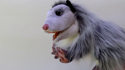 Folkmanis Handpuppe Opossum Demo