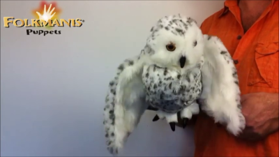 Video 2: Folkmanis Snowy Owl Hand Puppet