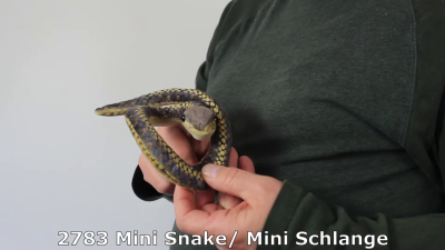 Video 1: Folkmanis Fingerpuppe mini Schlange