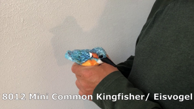 Video 1: Folkmanis Fingerpuppe mini Eisvogel