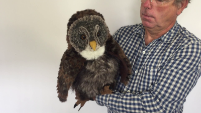 Video 1: Folkmanis Handpuppe Eule mit Huhu-Effekt