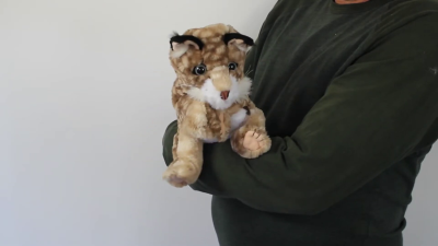 Video 2: Folkmanis Bobcat Kitten Hand Puppet