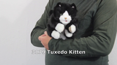 Video 2: Folkmanis Tuxedo Kitten Hand Puppet