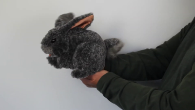 Video 1: Folkmanis Grey Bunny Hand Puppet