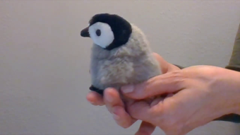 Folkmanis Fingerpuppe mini Baby Kaiserpinguin Demo