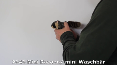 Folkmanis Mini Raccoon Finger Puppet Demo