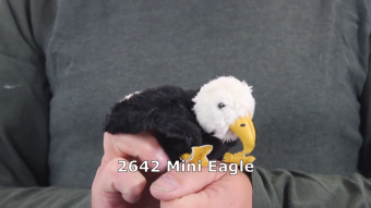 Video 1: Folkmanis Fingerpuppe mini Weißkopfseeadler