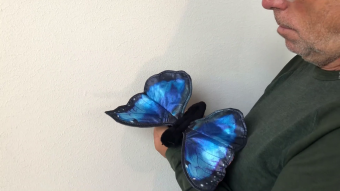 Folkmanis Blauer Morphofalter Demo
