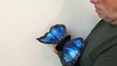 Video 1: Folkmanis Blue Morpho Butterfly Hand Puppet