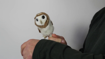 Video 1: Folkmanis Fingerpuppe mini Schleiereule