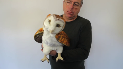 Folkmanis Handpuppe Schleiereule Demo