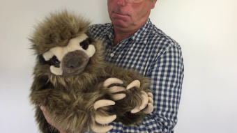 Folkmanis Handpuppe Dreifinger-Faultier Demo