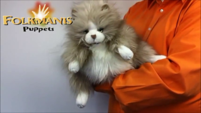 Folkmanis Fluffy Cat Hand Puppet Demo 2