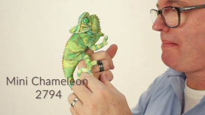 Video 2: Folkmanis Fingerpuppe mini Chamäleon