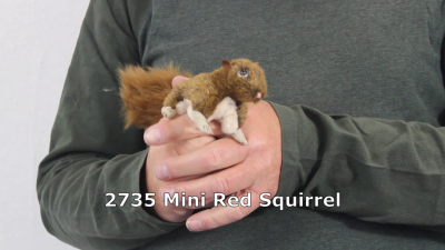 Video 1: Folkmanis Fingerpuppe mini rotbraunes Eichhörnchen