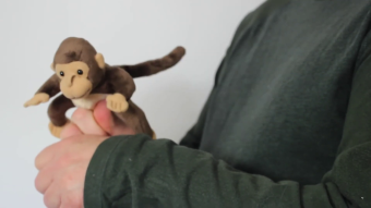 Folkmanis Fingerpuppe mini Affe Demo