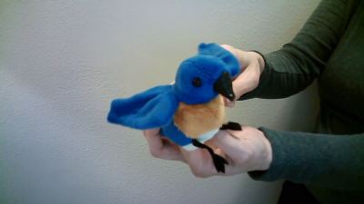 Video 1: Folkmanis Fingerpuppe mini Hüttensänger-Vogel (blau)