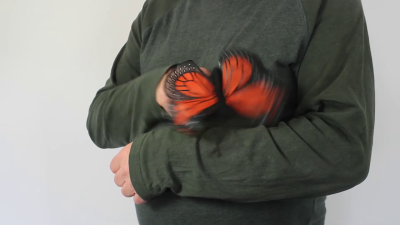 Video 1: Folkmanis Fingerpuppe mini Monarchschmetterling