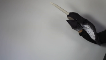 Folkmanis Handpuppe Narwal Demo