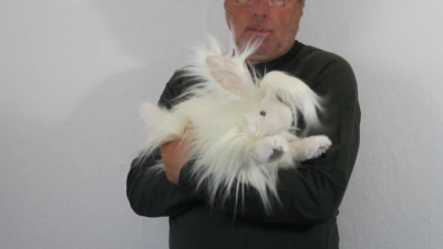 Video 1: Folkmanis Handpuppe Angorakaninchen