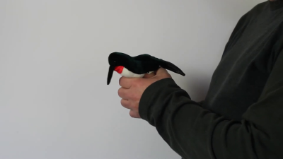 Video 1: Folkmanis Fingerpuppe mini Kolibri