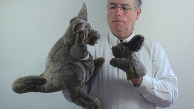 Video 1: Folkmanis Handpuppe Känguru mit Baby