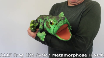 Video 1: Folkmanis Handpuppe Metamorphose Frosch