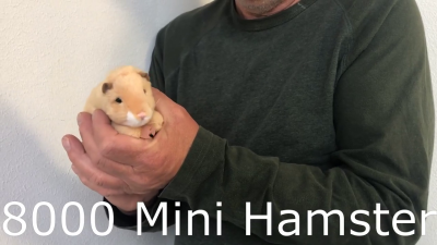 Video 2: Folkmanis Fingerpuppe mini Hamster