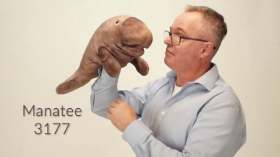 Video 2: Folkmanis Handpuppe Seekuh