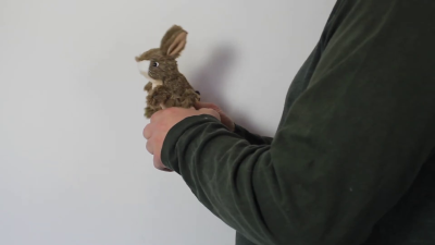 Video 1: Folkmanis Fingerpuppe mini Feldhase