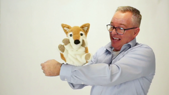 Folkmanis Handpuppe Shiba Inu Demo