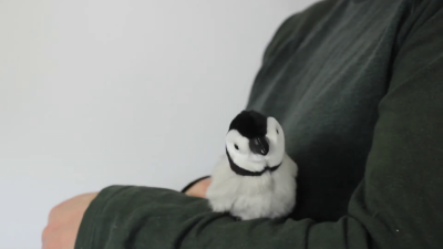 Video 2: Folkmanis Fingerpuppe mini Baby Kaiserpinguin