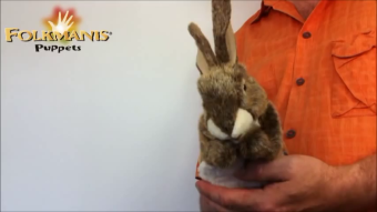 Folkmanis Handpuppe kleiner Hase (kleine Stage Puppet) Demo