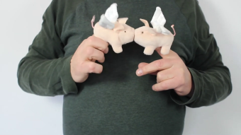Folkmanis Fingerpuppe mini Schwein mit Flügeln Demo